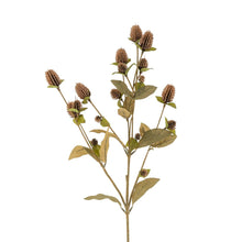 Load image into Gallery viewer, Globe Amaranth Spray
