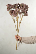 Load image into Gallery viewer, Mauve Pom Pom Spray
