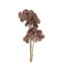 Load image into Gallery viewer, Mauve Pom Pom Spray
