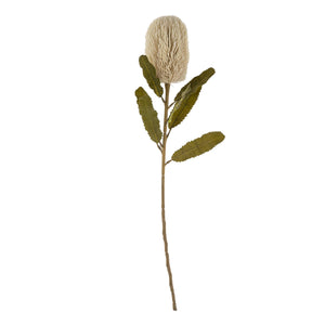 Banksia Floral Stem, Cream