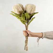 Load image into Gallery viewer, Banksia Floral Stem, Cream
