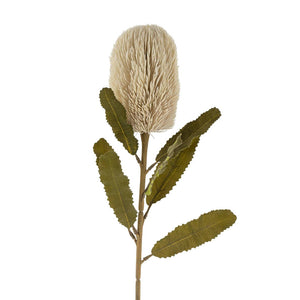 Banksia Floral Stem, Cream