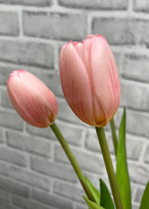 Fresh Touch Tulip Bundle, Pink