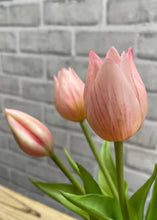 Load image into Gallery viewer, Wild Mini Fresh Touch Tulip Bundle, Pink
