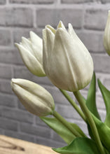 Load image into Gallery viewer, Wild Mini Fresh Touch Tulip Bundle, White
