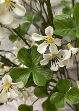 Load image into Gallery viewer, White Olive Blossom Branch
