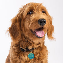 Load image into Gallery viewer, Best Golden Doodle Ever Charm Set
