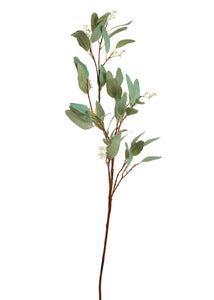 Sage Seeded Eucalyptus