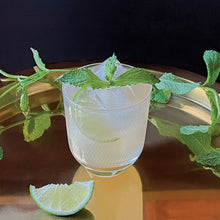 Load image into Gallery viewer, No-Muddle Mojito Infusion Blend
