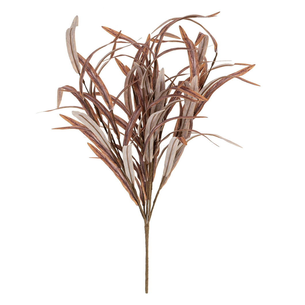 Willow Bush Sprig, Autumn