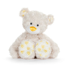 Load image into Gallery viewer, Miracle Baby Plush Bear
