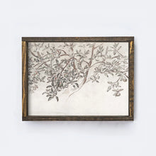 Load image into Gallery viewer, Apple Blossom Sketch Wall Art
