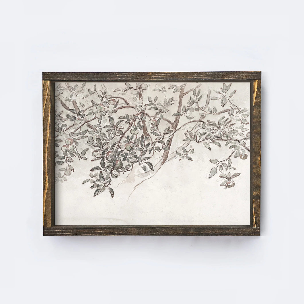 Apple Blossom Sketch Wall Art