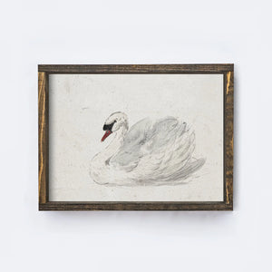 White Swan Vintage Inspired Art, 12 x 9"