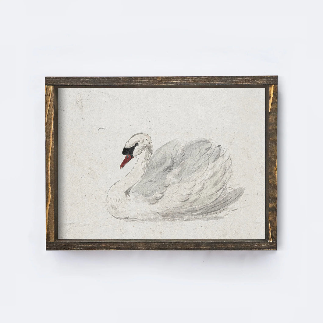 White Swan Vintage Inspired Art, 12 x 9