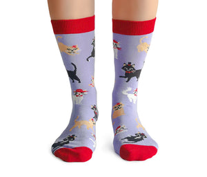 Cats In Hats Ladies Socks