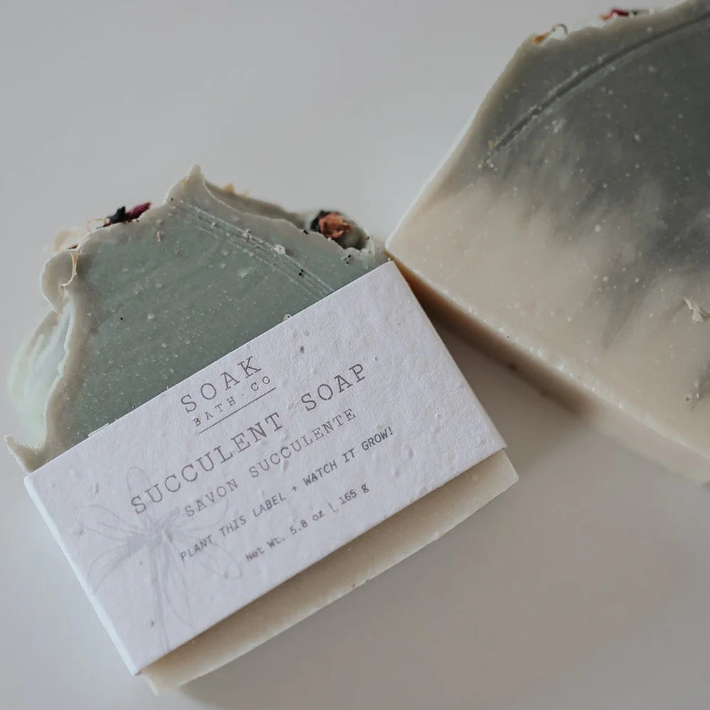 Succulent Soap Bar: SOAK Bath Co.