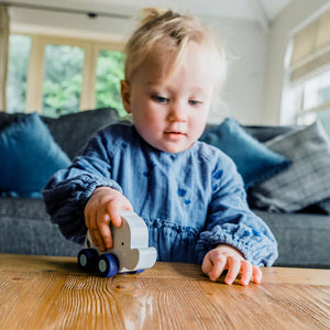 Elephant First Push Toy