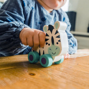 Zebra First Push Toy