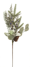 Load image into Gallery viewer, Eucalyptus, Cedar + Blueberry Spray
