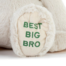 Load image into Gallery viewer, Best Big Brother Plush Dog
