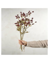 Load image into Gallery viewer, Sanicula Floral Spray
