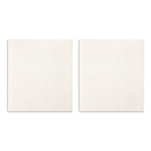 Better with Friends Biodegradable Dish Cloths Set of 2