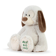 Load image into Gallery viewer, Best Big Brother Plush Dog
