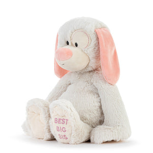 Best Big Sister Plush Dog